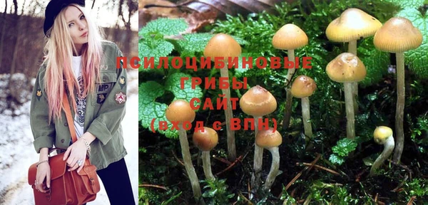 PSILOCYBIN Абдулино